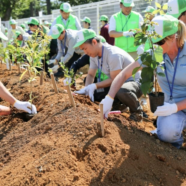 新井工場内での植樹祭の様子