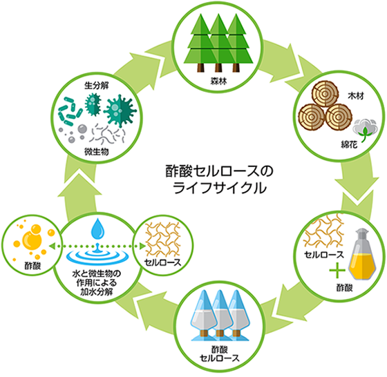 酢酸セルロースの循環サイクル