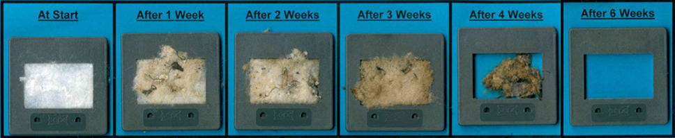 Biodegradation of cellulose acetate in industrial compost