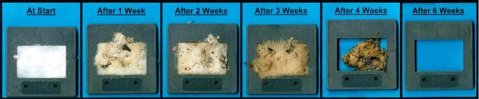 Biodegradation of cellulose acetate fibers in industrial compost