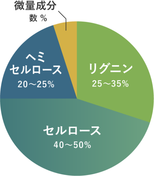 森林資源セルロース