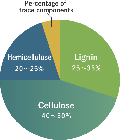 Cellulose, a natural resource from the forest