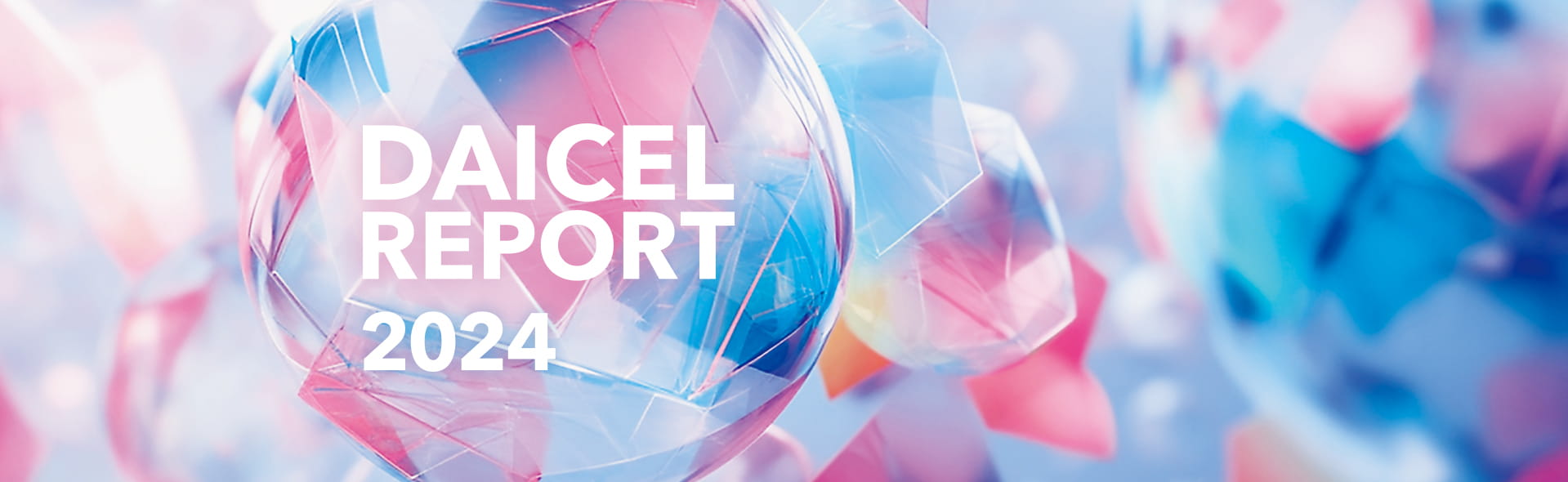 DAICEL REPORT 2024