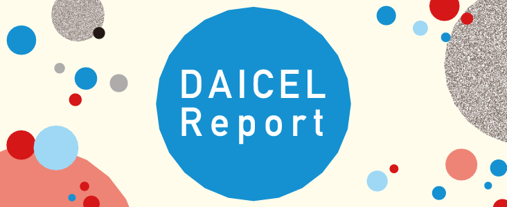 DAICEL Report 2022