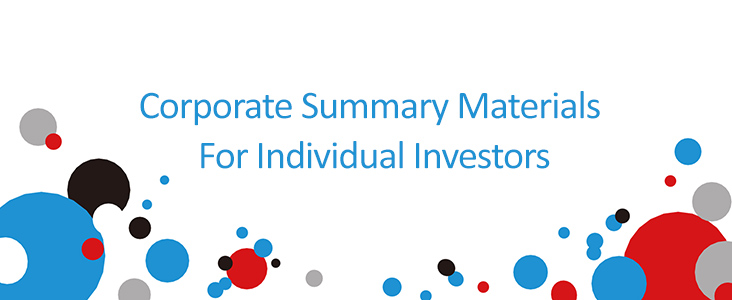 Corporate Summary Materials For Individual Investors