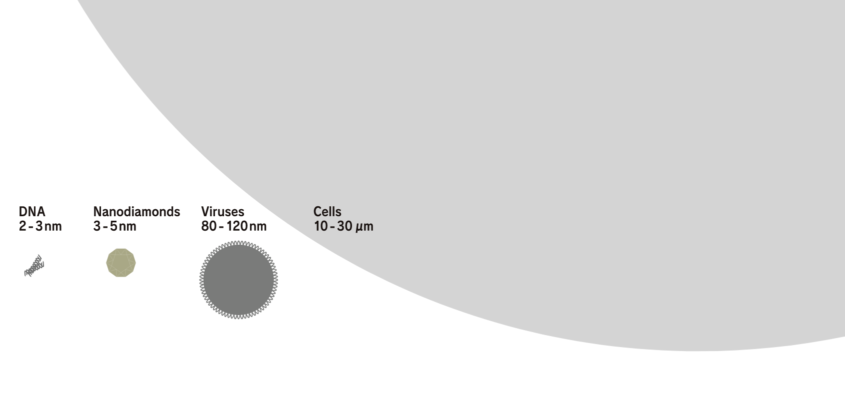 Size comparison of nanodiamonds