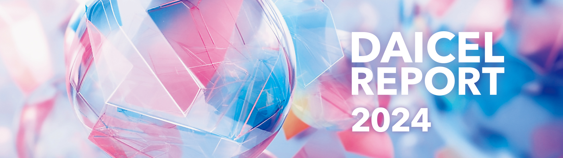 DAICEL Report 2024