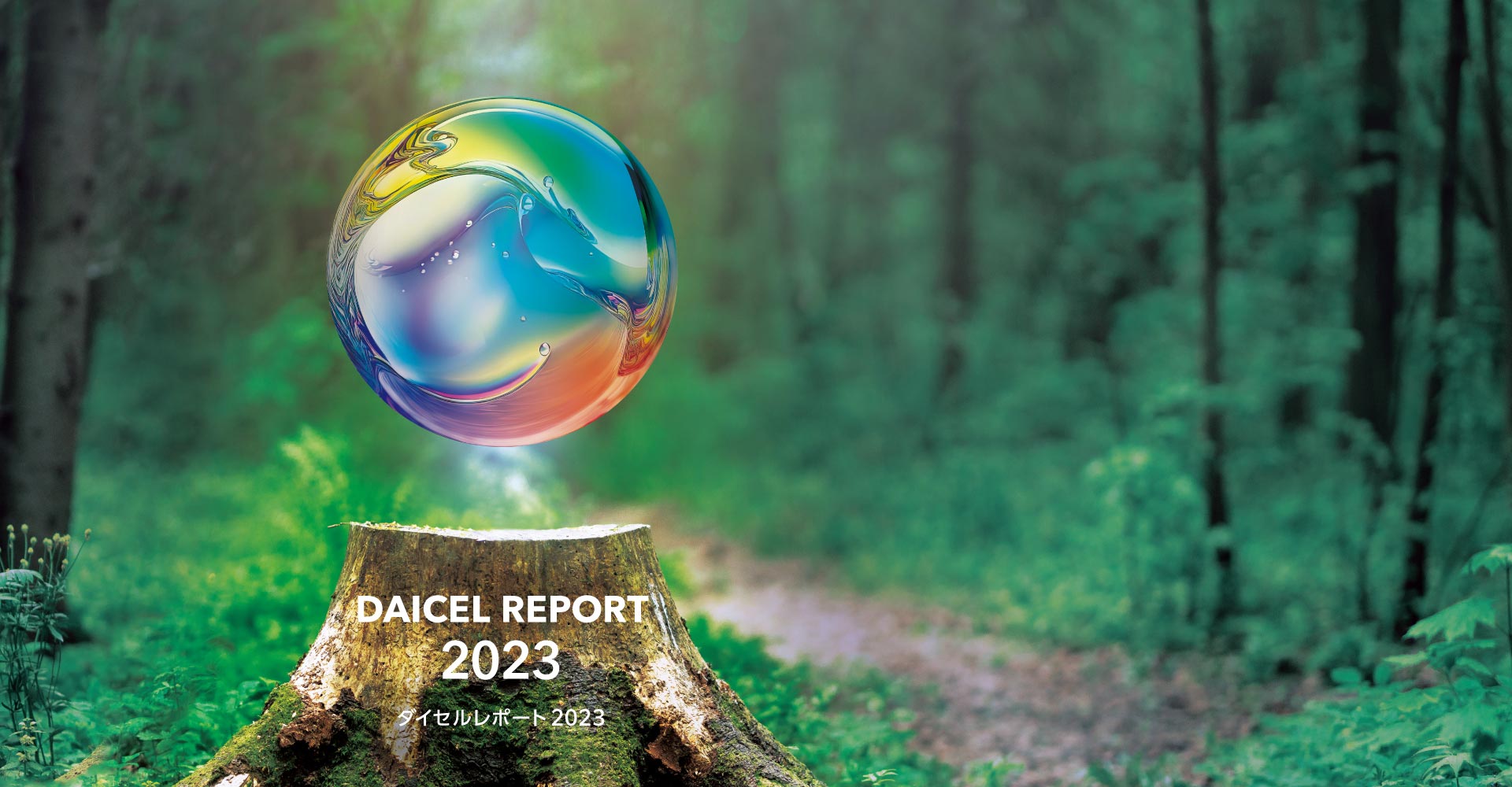 DAICEL Report 2023
