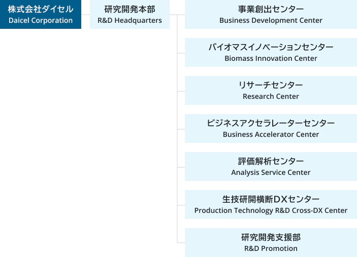組織図。左に「株式会社ダイセル Daicel Corporation」、その右に「研究開発本部 R&D Headquarters」。さらに右側に7つの部門が縦に並ぶ：事業創出センター（Business Development Center）,バイオマスイノベーションセンター（Biomass Innovation Center）,リサーチセンター（Research Center）,ビジネスアクセラレーターセンター（Business Accelerator Center）,評価解析センター（Analysis Service Center）,生技研開横断DXセンター（Production Technology R&D Cross-DX Center）,研究開発支援部（R&D Promotion）