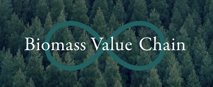 Biomass Value Chain