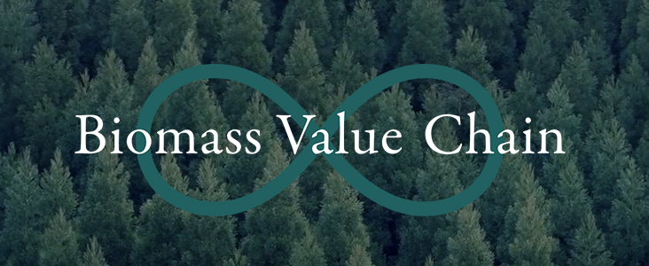 Biomass Value Chain