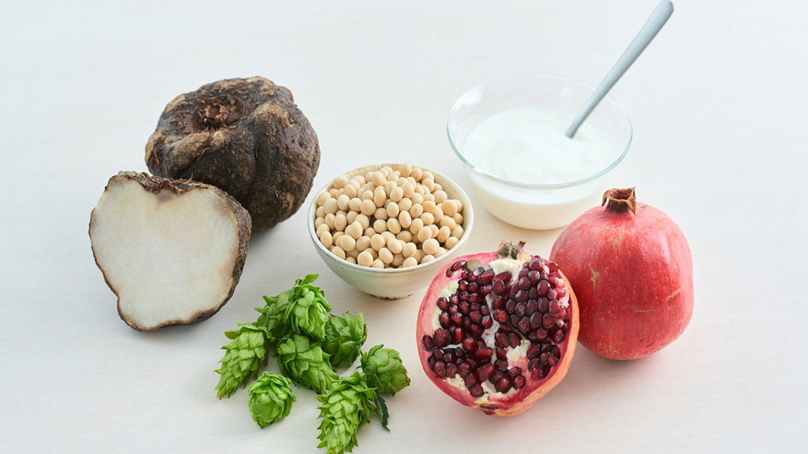 Functional food material