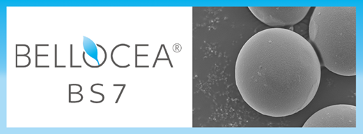 BELLOCEA BS7.png