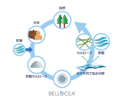 BELLOCEA BS7_図.png