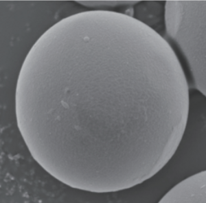 BELLOCEA BS7_顕微鏡写真.png