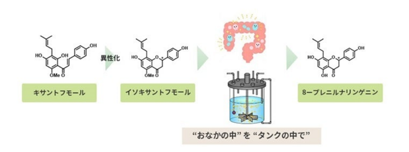 アストロホップ.png