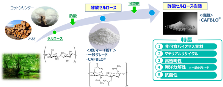 海洋分解性JP.png