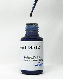 DNS163