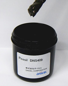 DNS409