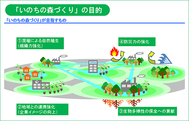 「いのちの森づくり」の目的 「いのちの森づくり」が目指すもの ①混植による自然植生（組織力強化） ②地域との連携強化（企業イメージの向上） ④防災力の強化 ③生物多様性の保全への貢献
